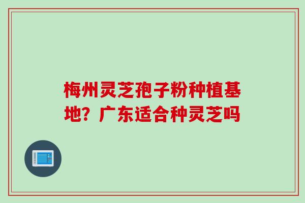 梅州灵芝孢子粉种植基地？广东适合种灵芝吗