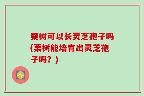 栗树可以长灵芝孢子吗(栗树能培育出灵芝孢子吗?) 栗树可以长灵芝孢子吗(栗树能培育出灵芝孢子吗?)