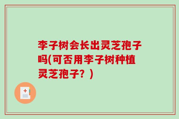 李子树会长出灵芝孢子吗(可否用李子树种植灵芝孢子？)