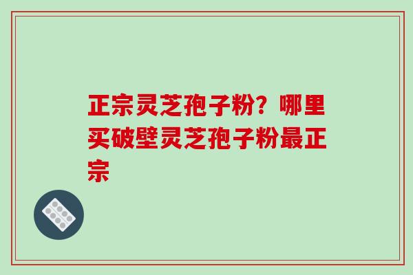 正宗灵芝孢子粉？哪里买破壁灵芝孢子粉最正宗