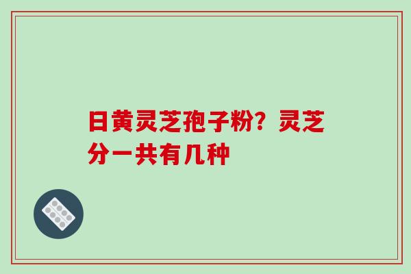 日黄灵芝孢子粉?灵芝分一共有几种 日黄灵芝孢子粉?灵芝分一共有几种