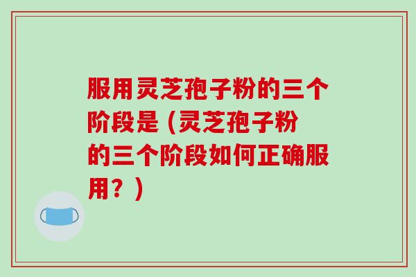 服用灵芝孢子粉的三个阶段是 (灵芝孢子粉的三个阶段如何正确服用？)