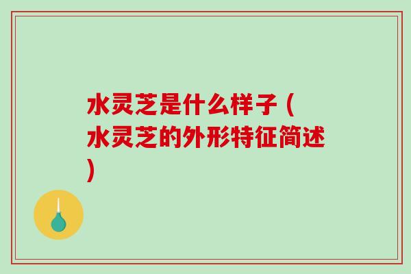 水灵芝是什么样子 (水灵芝的外形特征简述)