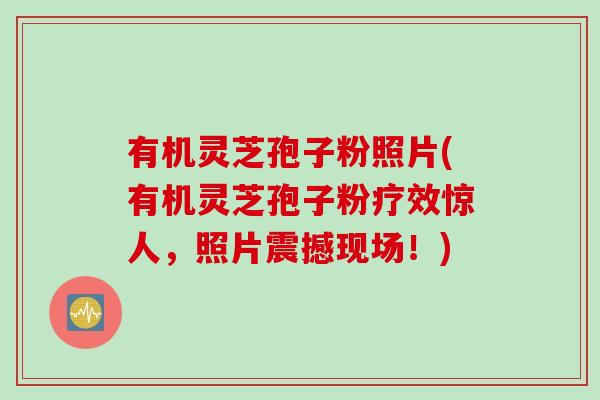 有机灵芝孢子粉照片(有机灵芝孢子粉疗效惊人，照片震撼现场！)