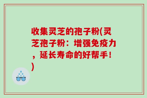 收集灵芝的孢子粉(灵芝孢子粉：增强免疫力，延长寿命的好帮手！)