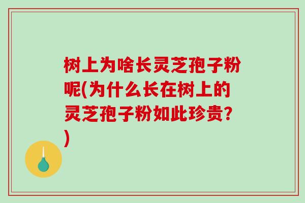 树上为啥长灵芝孢子粉呢(为什么长在树上的灵芝孢子粉如此珍贵？)