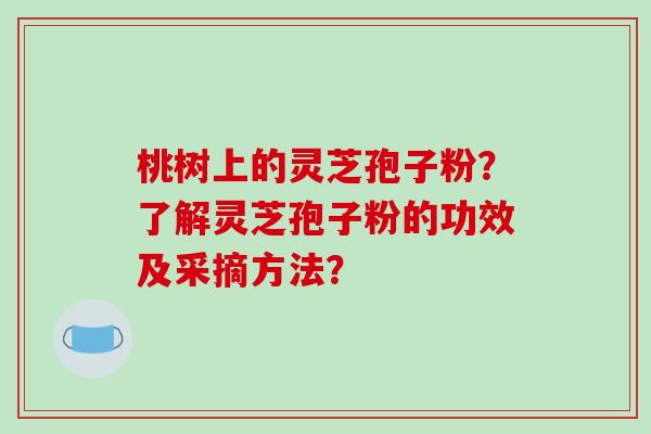 桃树上的灵芝孢子粉?了解灵芝孢子粉的功效及采摘方法? 桃树上的灵芝孢子粉?了解灵芝孢子粉的功效及采摘方法?