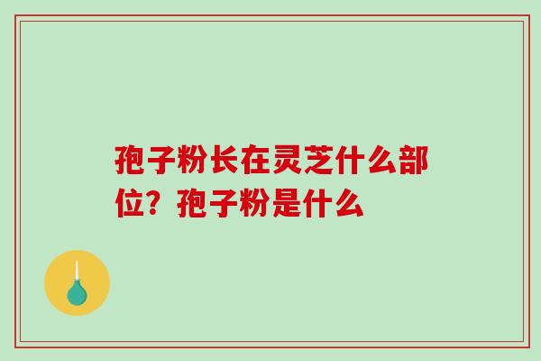 孢子粉长在灵芝什么部位？孢子粉是什么