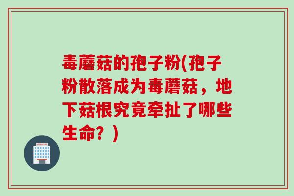 毒蘑菇的孢子粉(孢子粉散落成为毒蘑菇，地下菇根究竟牵扯了哪些生命？)