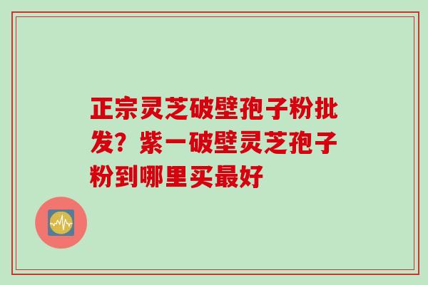 正宗灵芝破壁孢子粉批发？紫一破壁灵芝孢子粉到哪里买最好