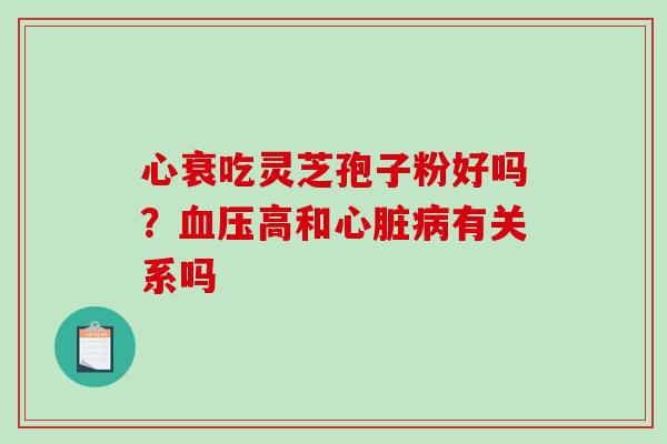 心衰吃灵芝孢子粉好吗？血压高和心脏病有关系吗