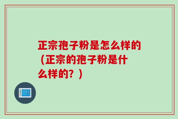 正宗孢子粉是怎么样的 (正宗的孢子粉是什么样的？)