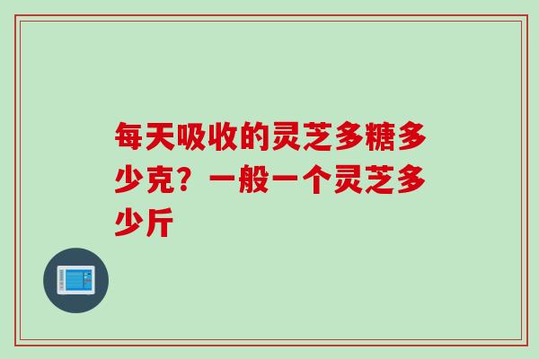 每天吸收的灵芝多糖多少克？一般一个灵芝多少斤