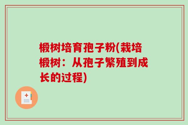 椴树培育孢子粉(栽培椴树:从孢子繁殖到成长的过程) 椴树培育孢子粉(栽培椴树:从孢子繁殖到成长的过程)