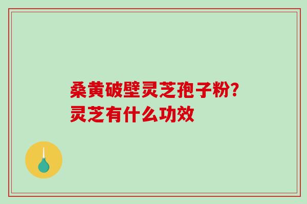 桑黄破壁灵芝孢子粉？灵芝有什么功效