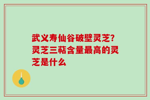 武义寿仙谷破壁灵芝？灵芝三萜含量最高的灵芝是什么