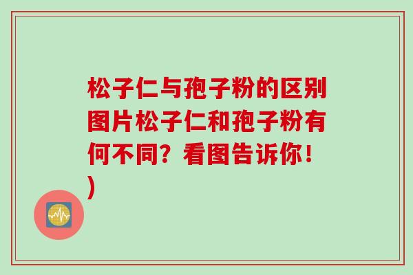 松子仁与孢子粉的区别图片松子仁和孢子粉有何不同？看图告诉你！)