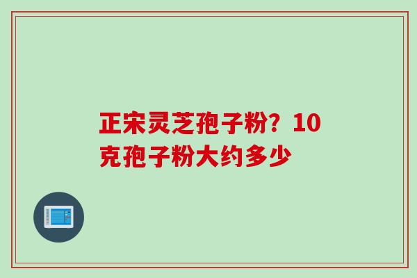 正宋灵芝孢子粉?10克孢子粉大约多少 正宋灵芝孢子粉?10克孢子粉大约多少