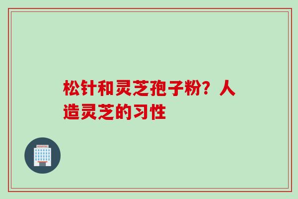 松针和灵芝孢子粉？人造灵芝的习性