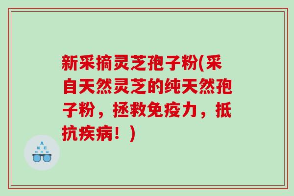 新采摘灵芝孢子粉(采自天然灵芝的纯天然孢子粉，拯救免疫力，抵抗疾病！)