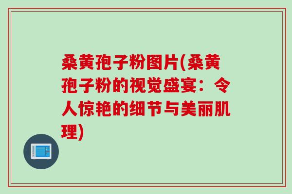 桑黄孢子粉图片(桑黄孢子粉的视觉盛宴：令人惊艳的细节与美丽肌理)
