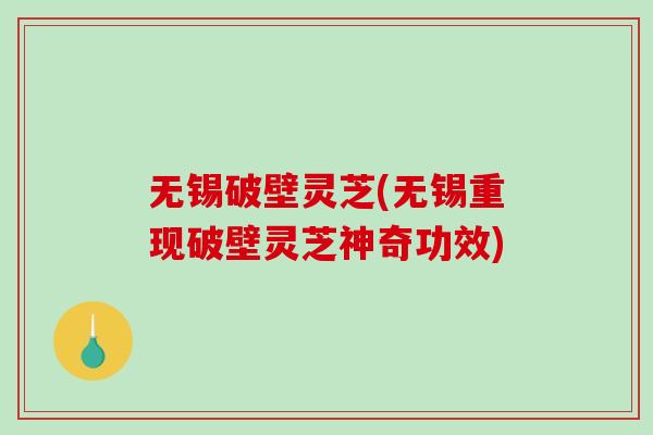 无锡破壁灵芝(无锡重现破壁灵芝神奇功效)