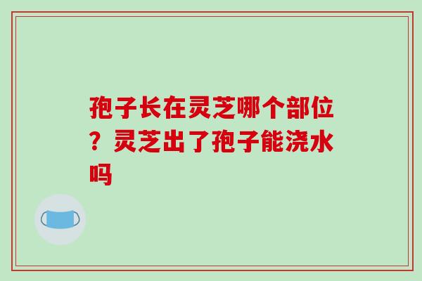 孢子长在灵芝哪个部位？灵芝出了孢子能浇水吗