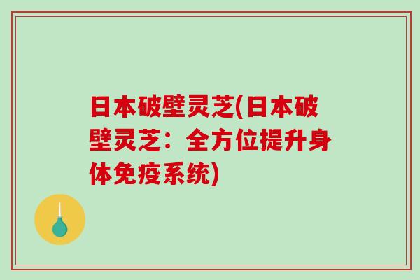 日本破壁灵芝(日本破壁灵芝：全方位提升身体免疫系统)
