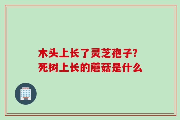 木头上长了灵芝孢子？死树上长的蘑菇是什么