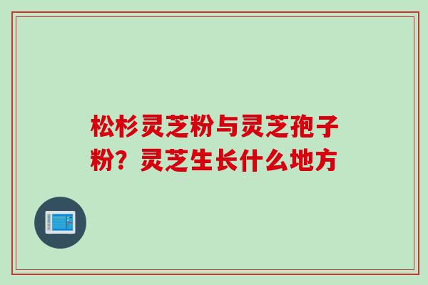 松杉灵芝粉与灵芝孢子粉？灵芝生长什么地方