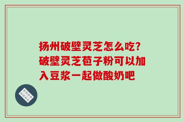 扬州破壁灵芝怎么吃？破壁灵芝苞子粉可以加入豆浆一起做酸奶吧