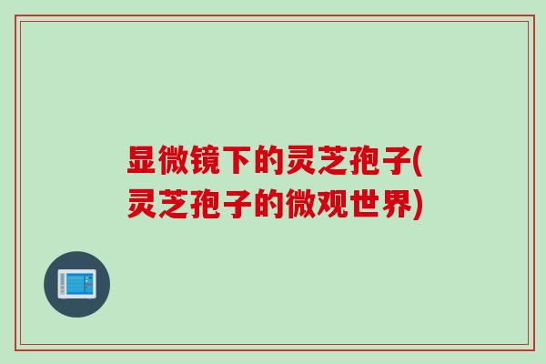 显微镜下的灵芝孢子(灵芝孢子的微观世界)