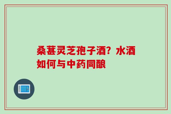 桑葚灵芝孢子酒？水酒如何与中药同酿