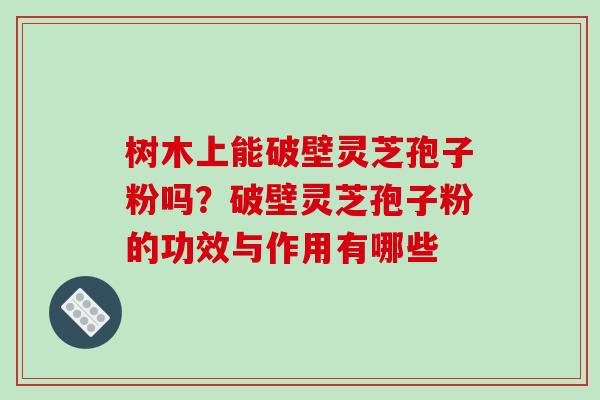 树木上能破壁灵芝孢子粉吗?破壁灵芝孢子粉的功效与作用有哪些 树木上能破壁灵芝孢子粉吗?破壁灵芝孢子粉的功效与作用有哪些