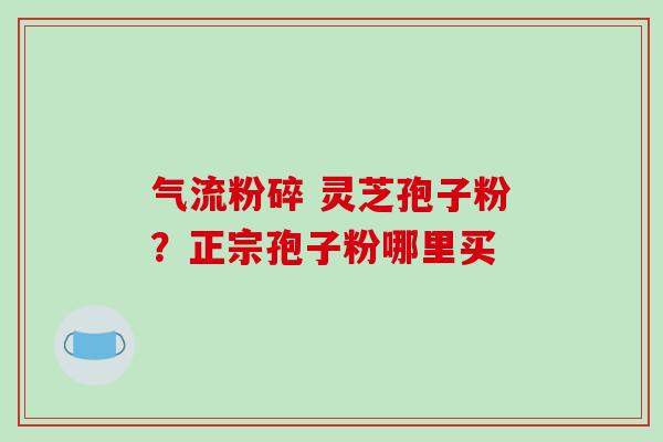 气流粉碎 灵芝孢子粉？正宗孢子粉哪里买