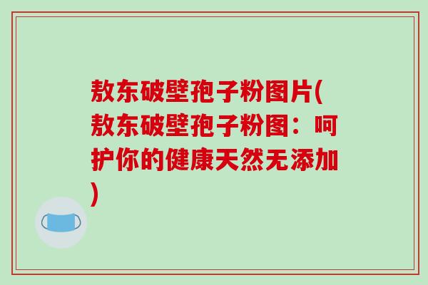 敖东破壁孢子粉图片(敖东破壁孢子粉图：呵护你的健康天然无添加)