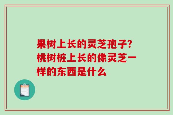 果树上长的灵芝孢子？桃树桩上长的像灵芝一样的东西是什么