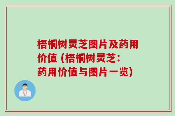 梧桐树灵芝图片及药用价值 (梧桐树灵芝：药用价值与图片一览)