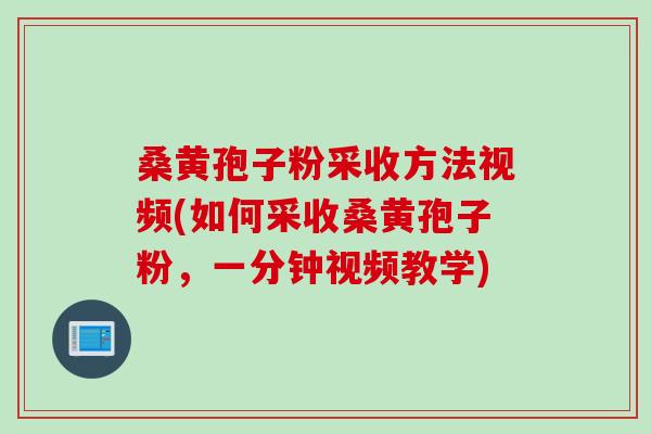 桑黄孢子粉采收方法视频(如何采收桑黄孢子粉,一分钟视频教学) 桑黄孢子粉采收方法视频(如何采收桑黄孢子粉,一分钟视频教学)