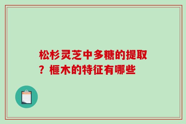 松杉灵芝中多糖的提取?榧木的特征有哪些 松杉灵芝中多糖的提取?榧木的特征有哪些