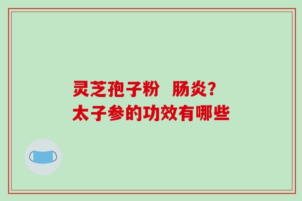 灵芝孢子粉  肠炎？太子参的功效有哪些