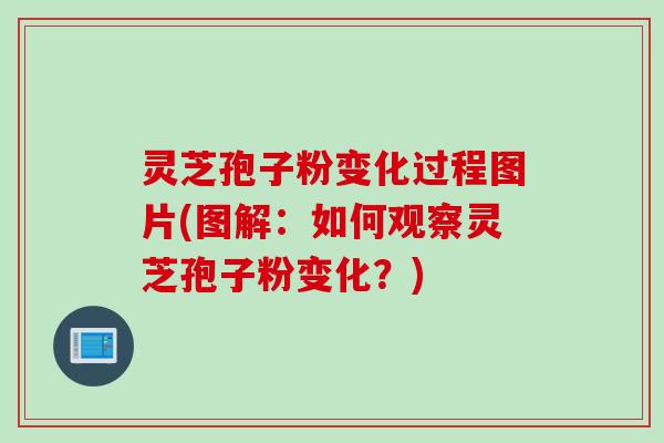 灵芝孢子粉变化过程图片(图解：如何观察灵芝孢子粉变化？)