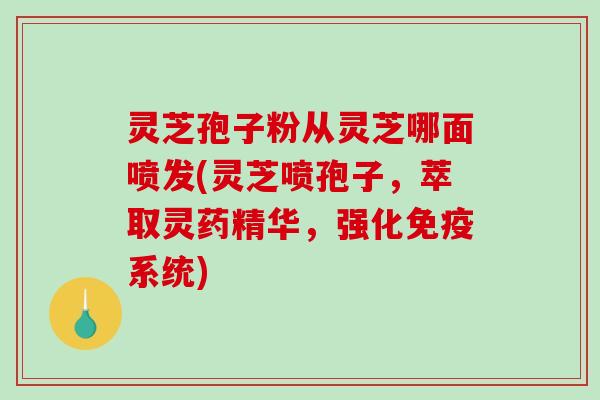 灵芝孢子粉从灵芝哪面喷发(灵芝喷孢子，萃取灵药精华，强化免疫系统)