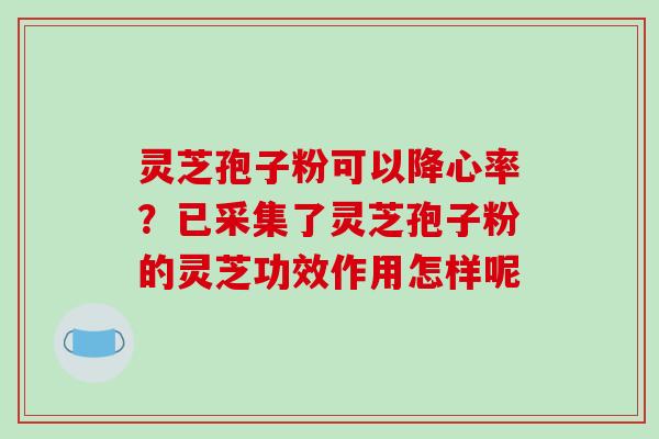 灵芝孢子粉可以降心率？已采集了灵芝孢子粉的灵芝功效作用怎样呢