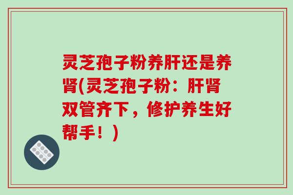 灵芝孢子粉养肝还是养肾(灵芝孢子粉：肝肾双管齐下，修护养生好帮手！)