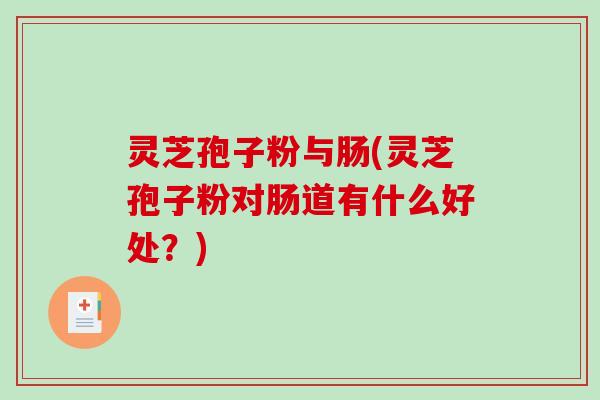 灵芝孢子粉与肠(灵芝孢子粉对肠道有什么好处？)