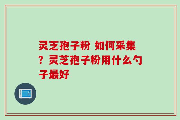 灵芝孢子粉 如何采集？灵芝孢子粉用什么勺子最好