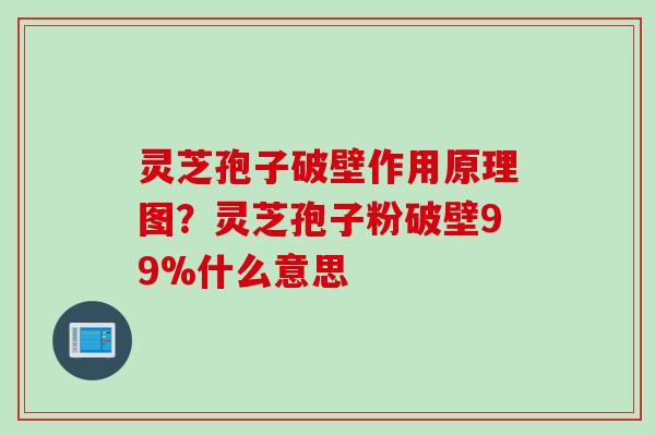 灵芝孢子破壁作用原理图?灵芝孢子粉破壁99%什么意思 灵芝孢子破壁作用原理图?灵芝孢子粉破壁99%什么意思