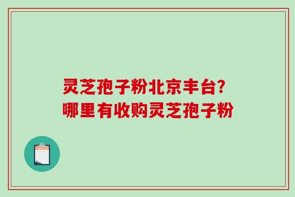 灵芝孢子粉北京丰台？哪里有收购灵芝孢子粉