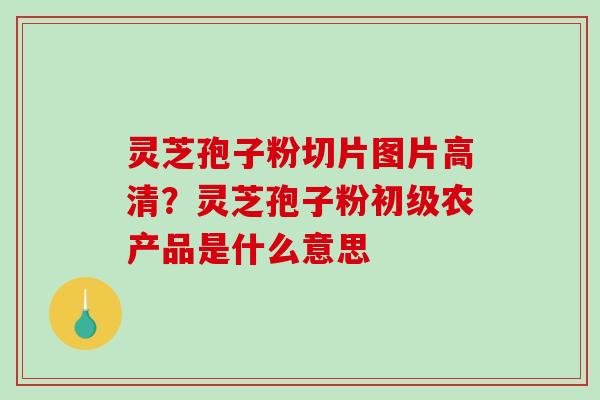灵芝孢子粉切片图片高清？灵芝孢子粉初级农产品是什么意思